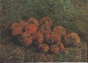 Vincent Van Gogh Still Life with Apples Germany oil painting artist